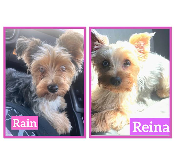 Photo of Reina and Rain