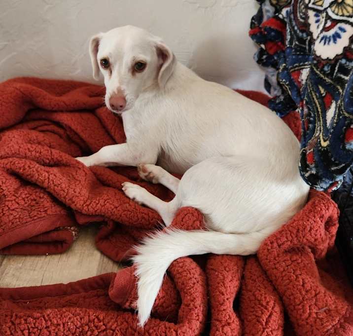 Photo of Rocko