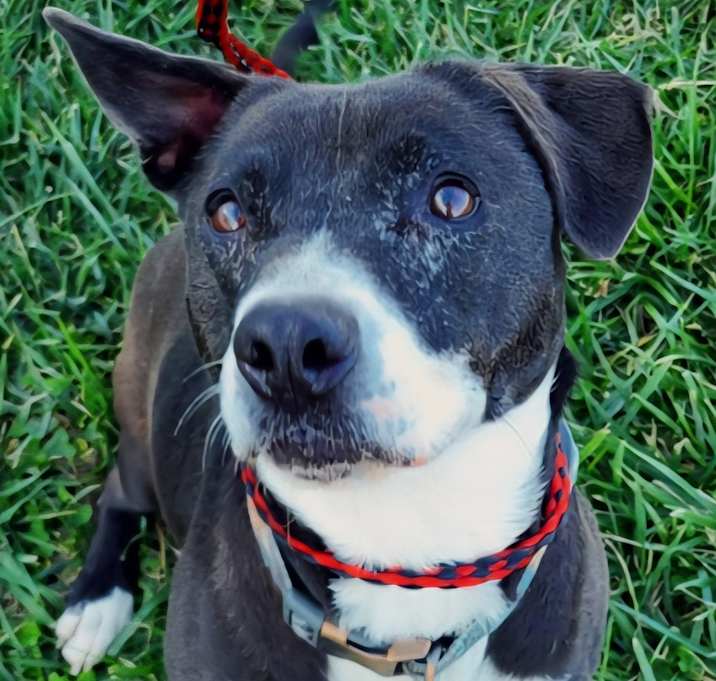 Photo of Daisey