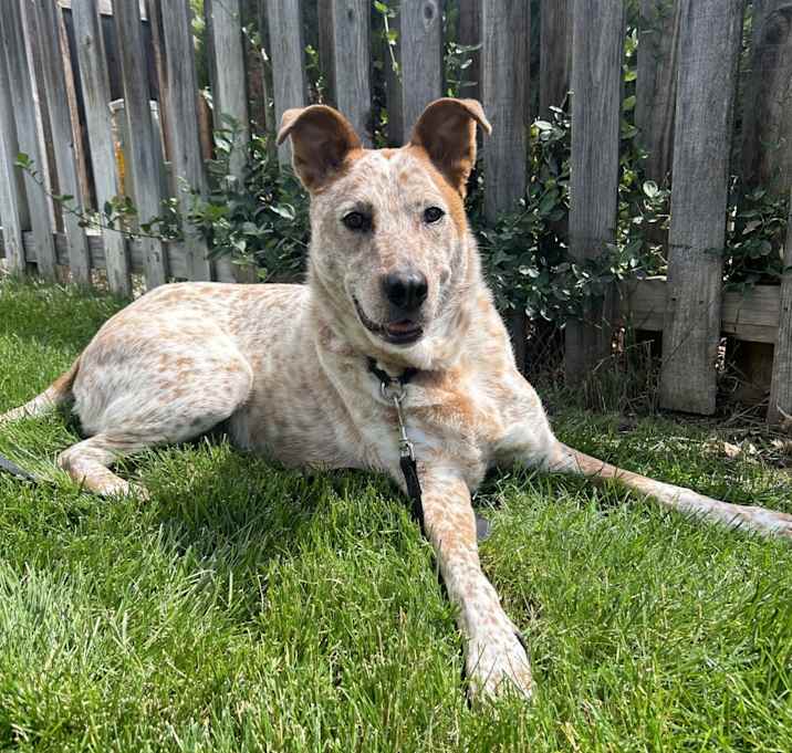 Photo of Nola