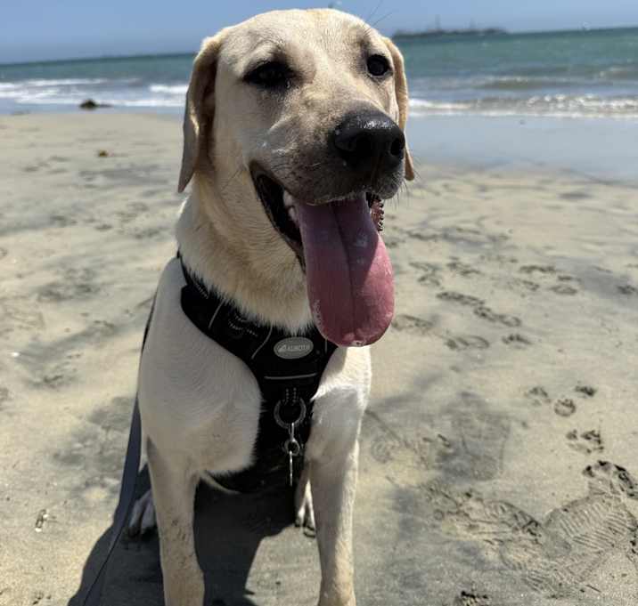 Photo of Duncan