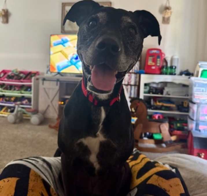 Photo of Ruby Mae aka Dasher
