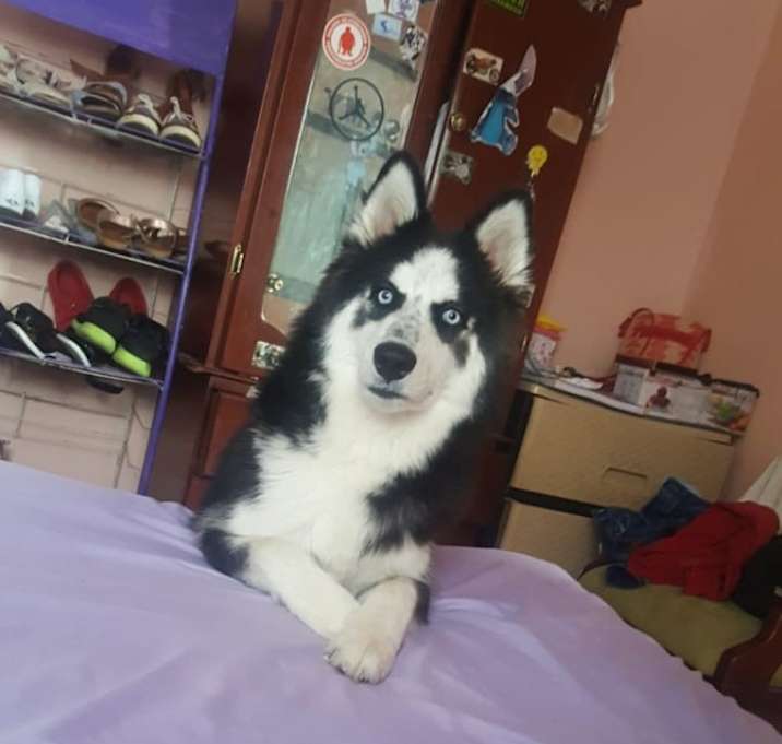 Photo of BLU