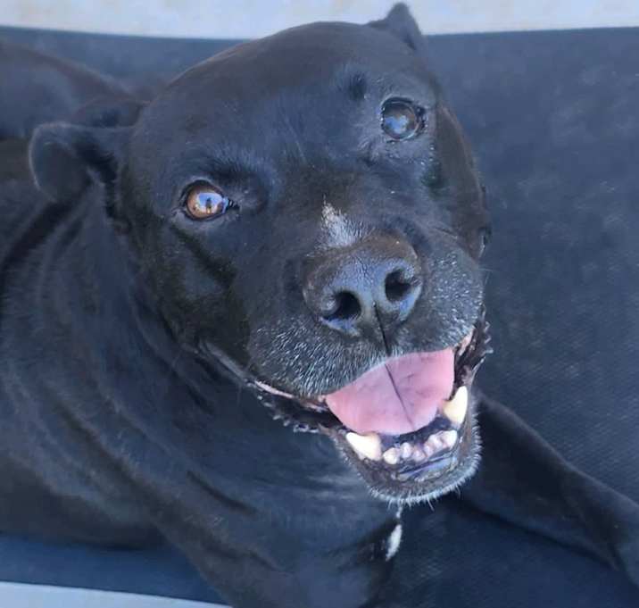 Photo of Loretta
