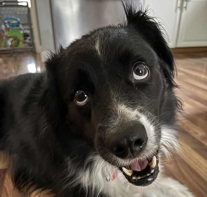 Photo of Emmy