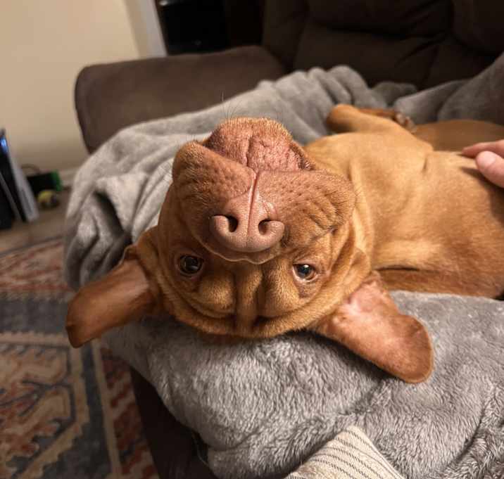 Photo of Grandpa