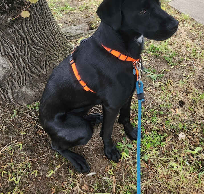 Photo of Athena
