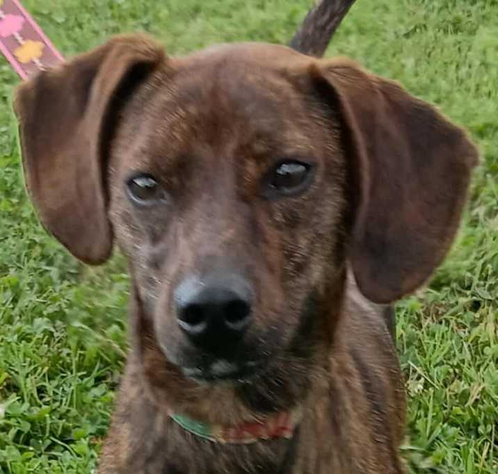 Photo of Axel