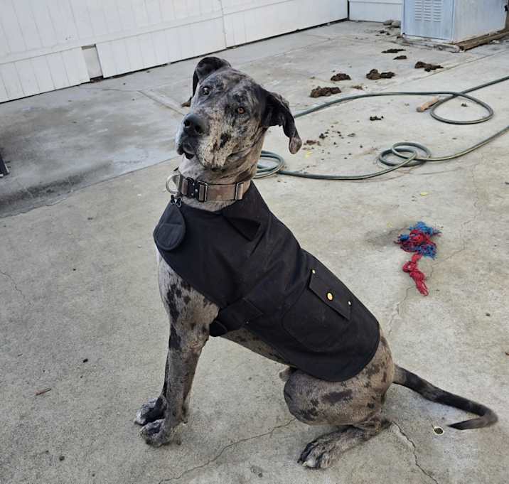Photo of Kratos