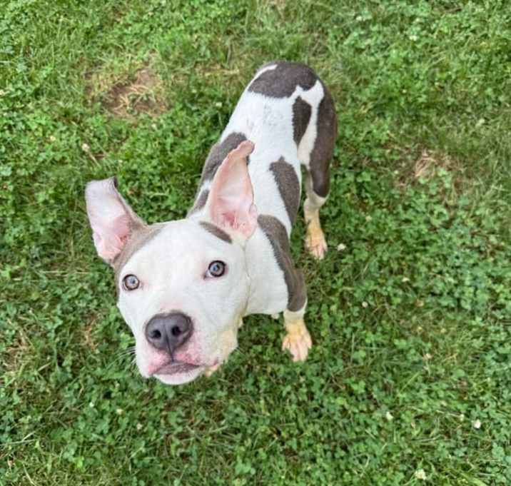 Photo of Arlo