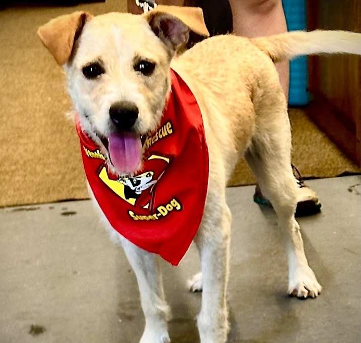 Photo of Waldo