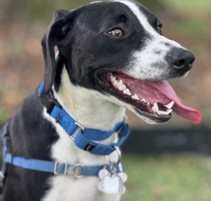 Photo of Tank