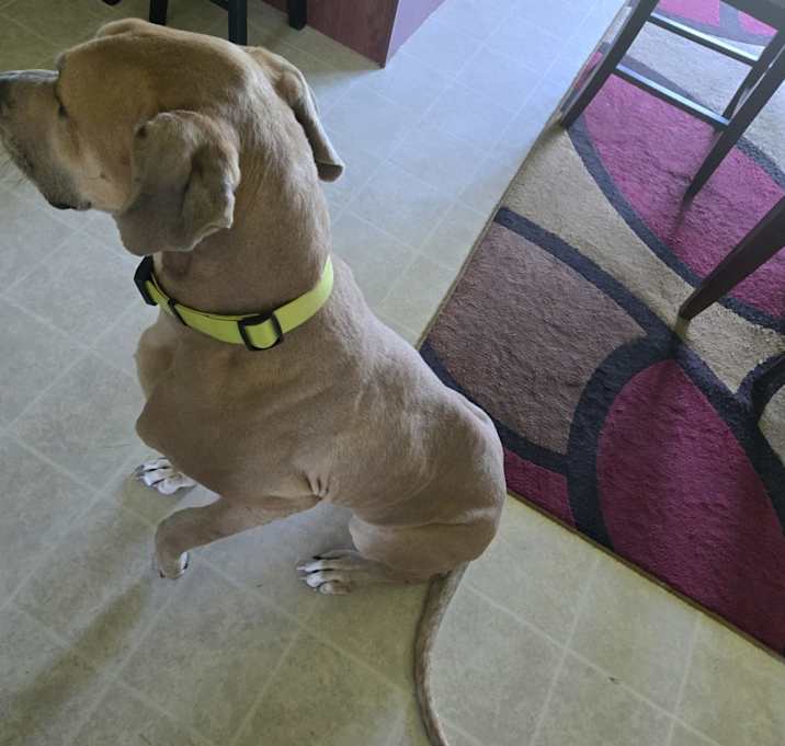 Photo of Duke