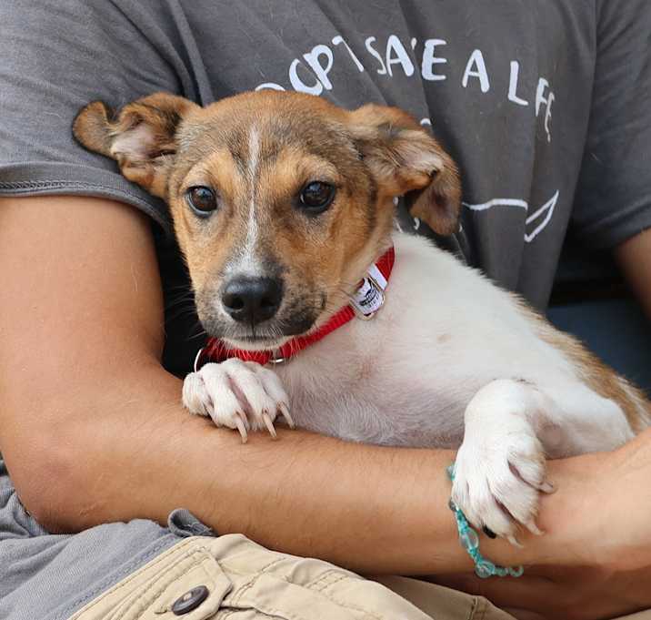 Photo of Oliver