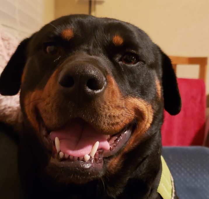 Photo of Mushu
