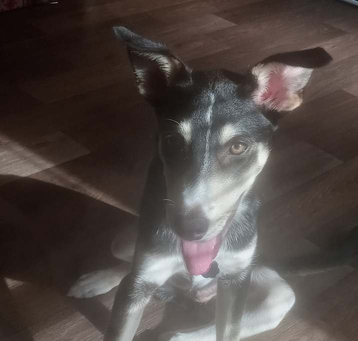 Photo of Angel