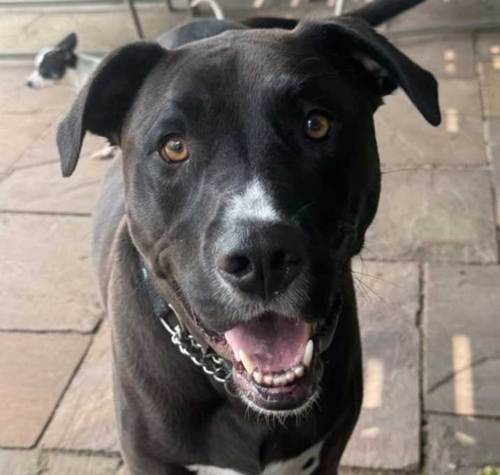 Photo of Thor