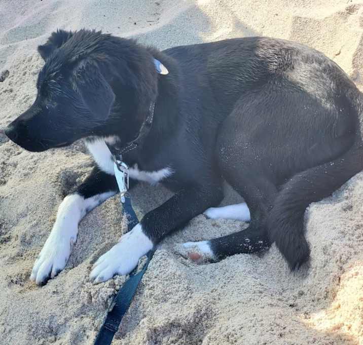 Photo of Jocko