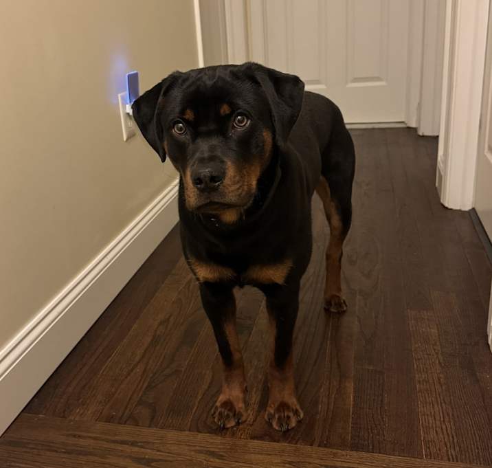 Photo of Major