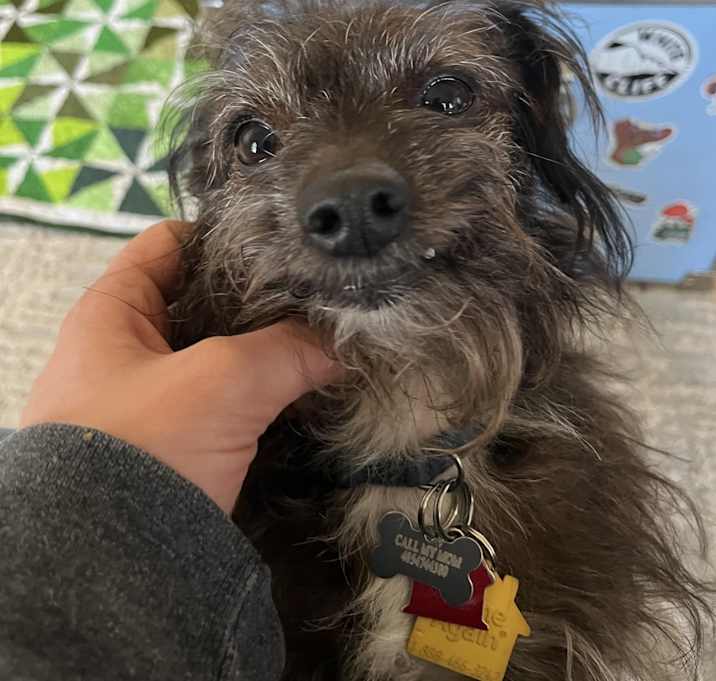 Photo of Percy