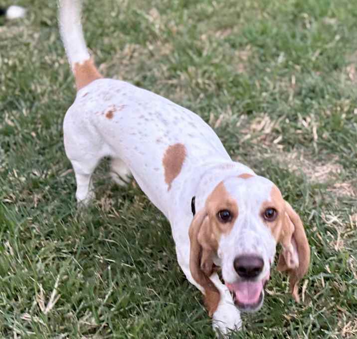 Photo of Sunny