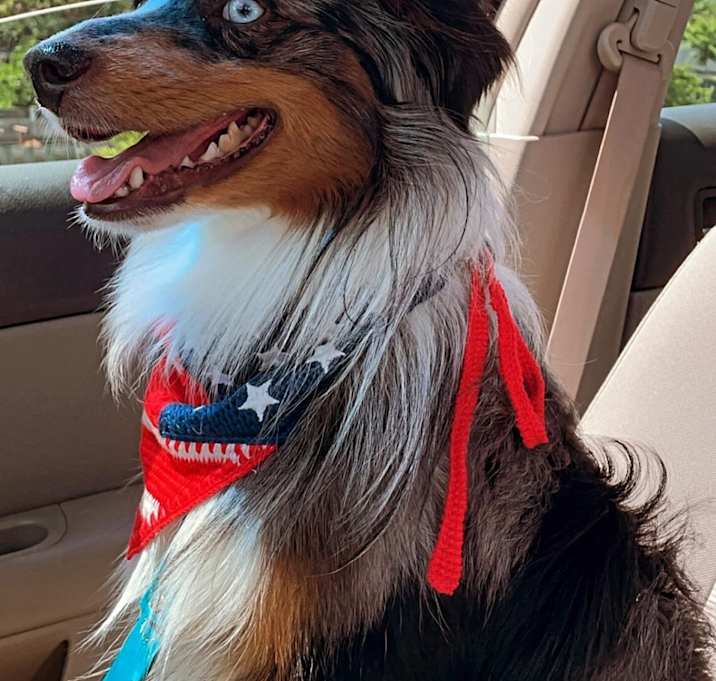 Photo of Rusty