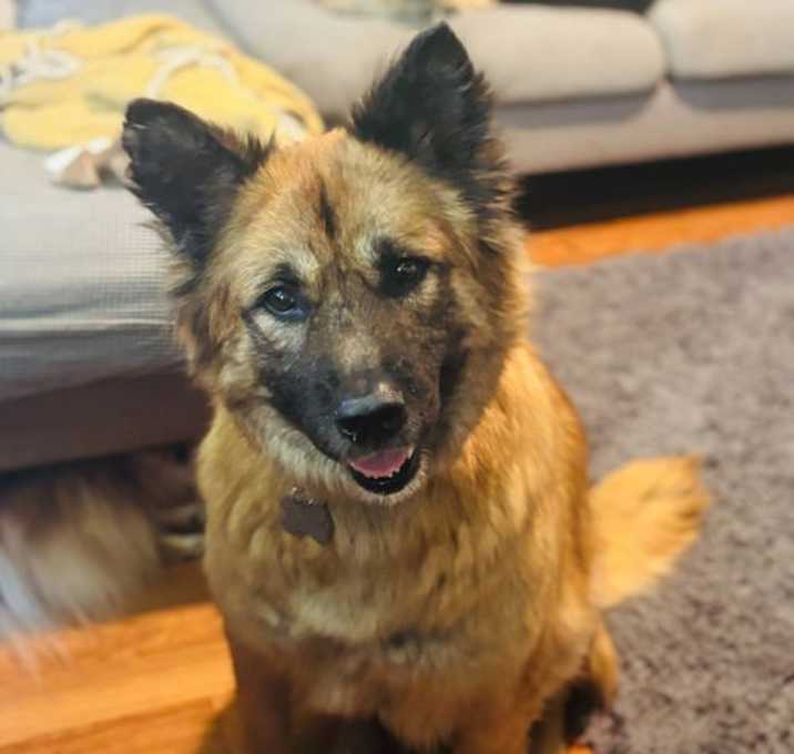Photo of Olive