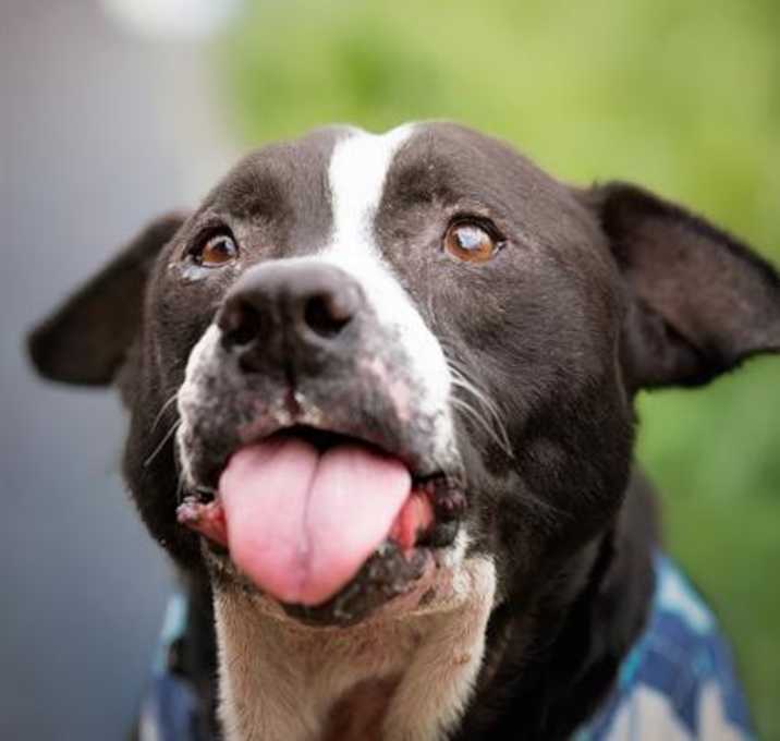 Photo of ELMER