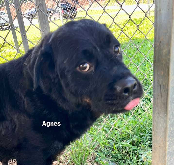 Photo of Agnes