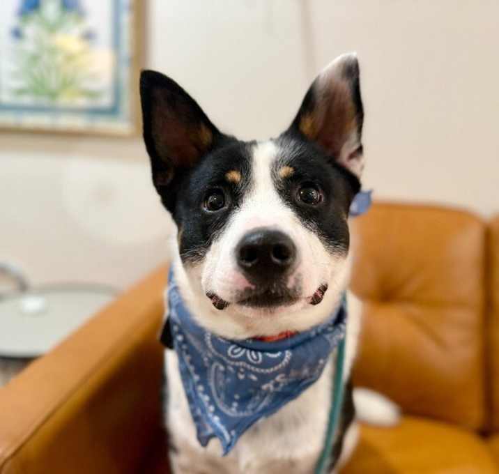 Photo of Kai keeps the fun and love flowing