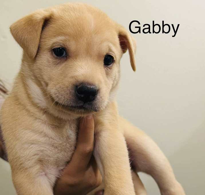 Photo of Gabby