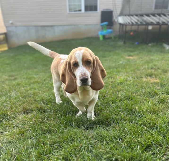 Photo of Maisy