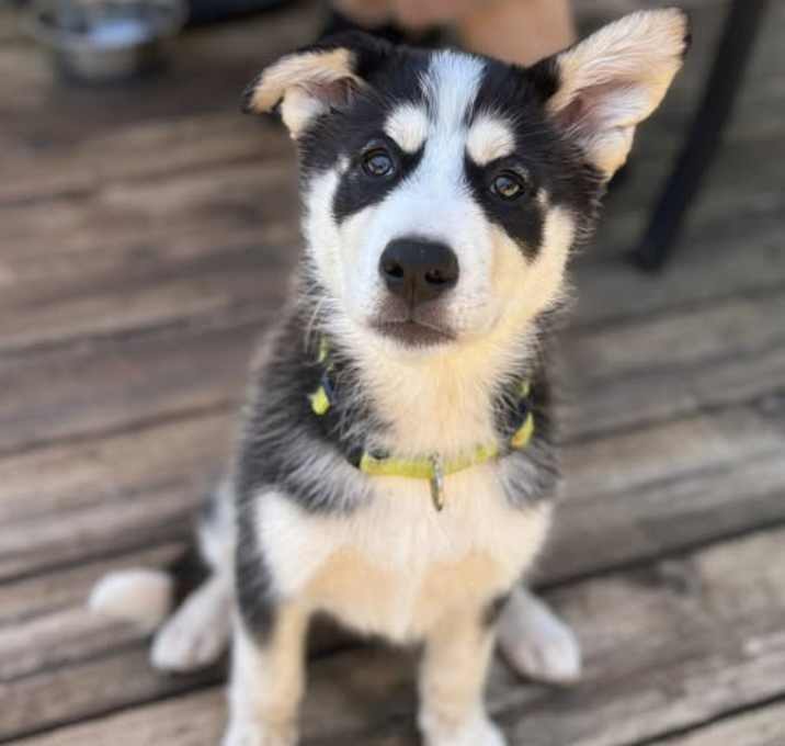 Photo of Sasha