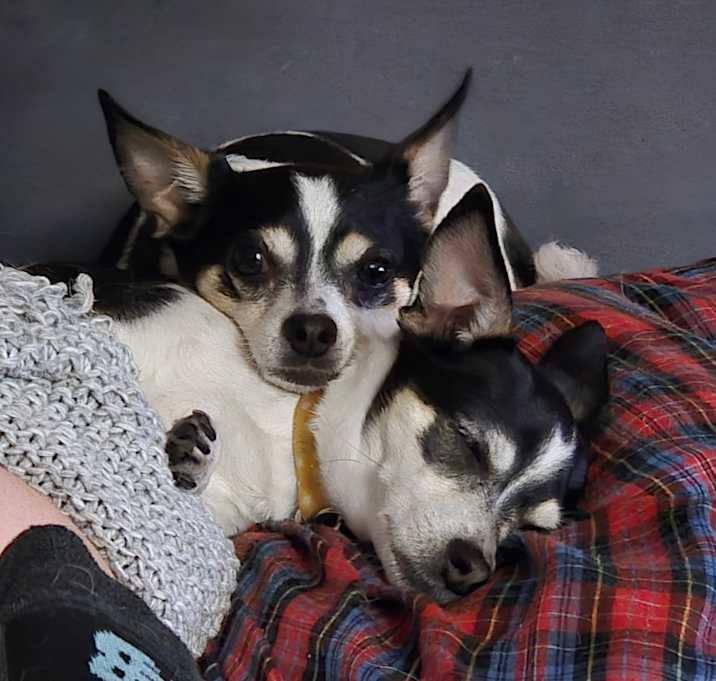 Photo of Brandi and Russell