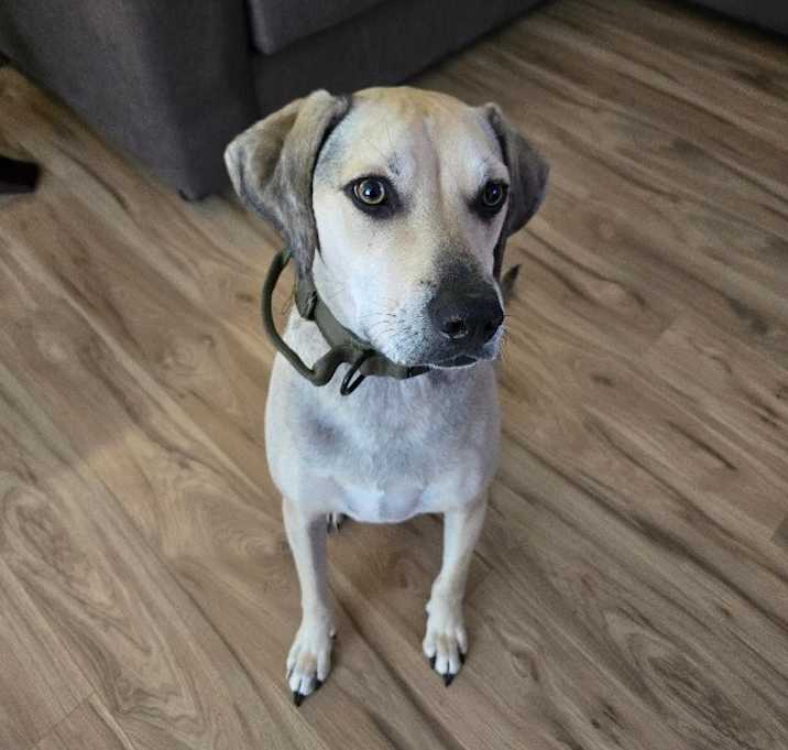 Photo of Sawyer