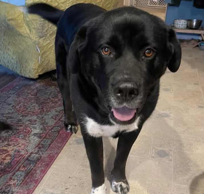 Photo of Atlas