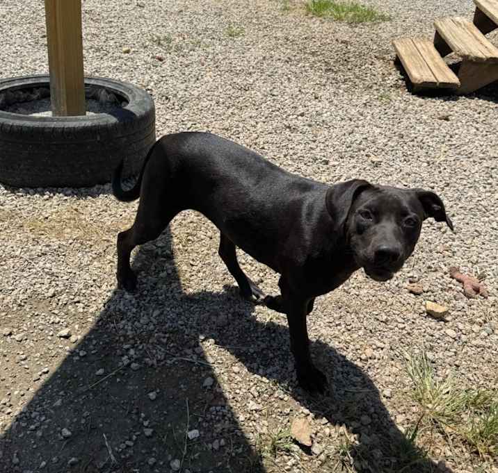 Photo of Mavis