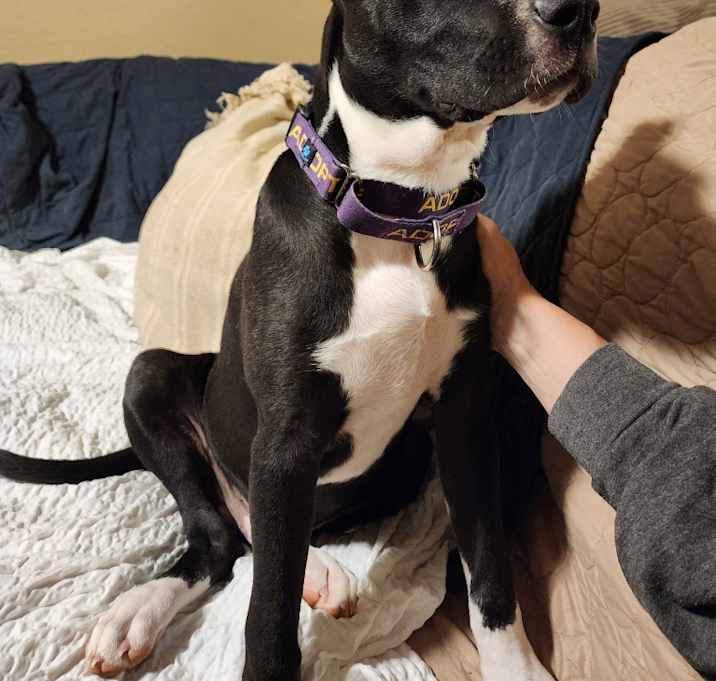 Photo of Thor
