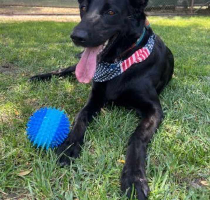 Photo of Luna