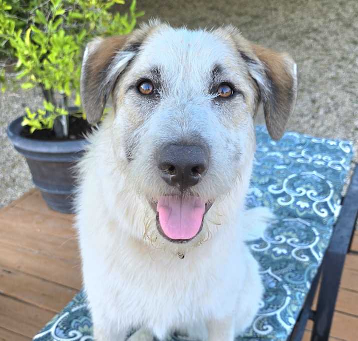 Photo of Kia