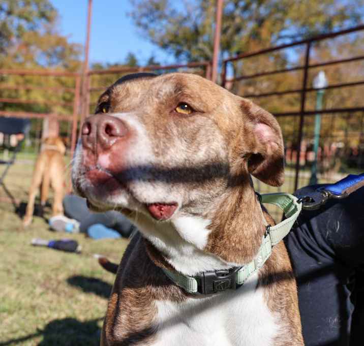 Photo of Hazel