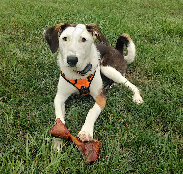 Photo of Finnley