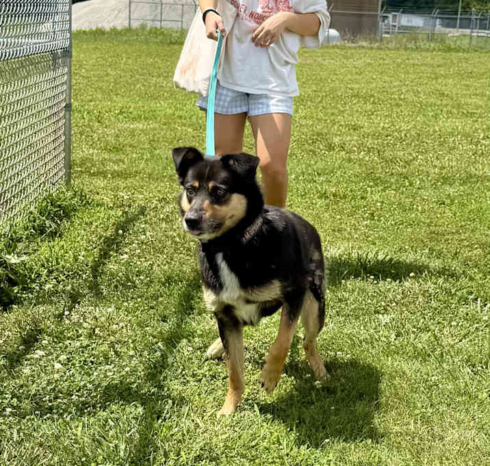 Photo of Roscoe