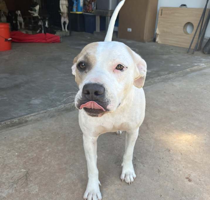 Photo of Molly