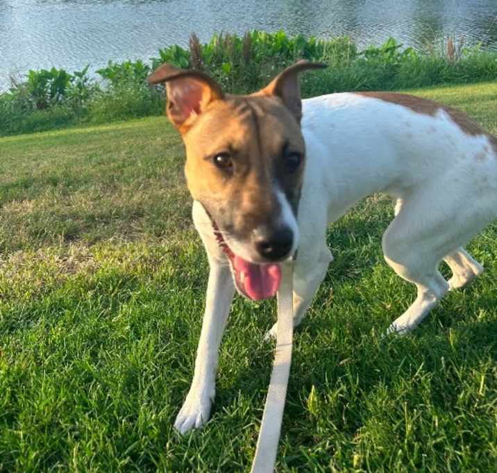 Photo of Lucy