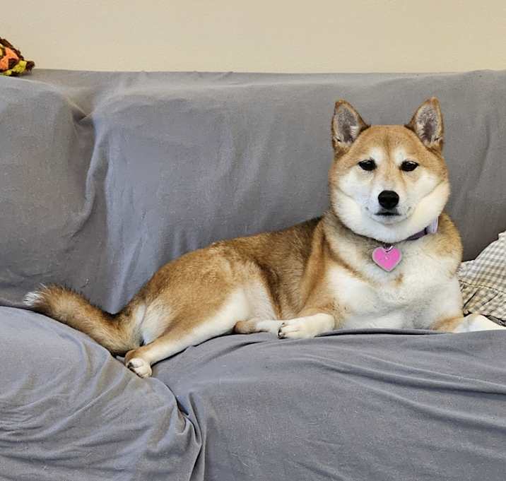 Photo of Hime