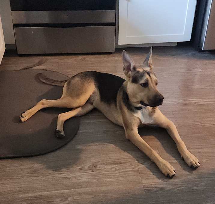 Photo of Jasper