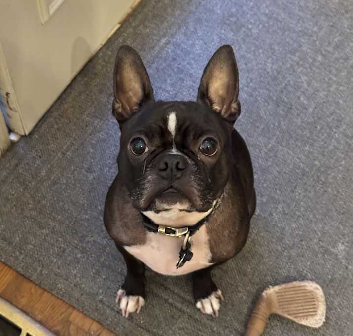 Photo of Harry