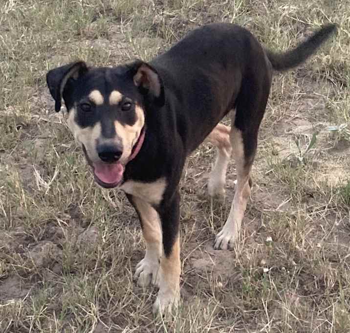 Photo of Molly