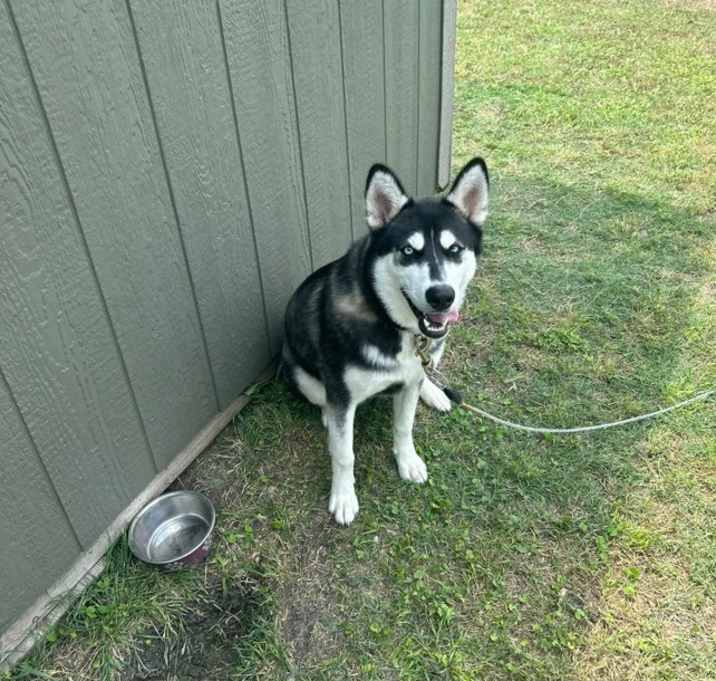 Photo of Zero